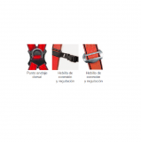 ACCESUS ARNES A05S 140KG 2P+CINTURON
